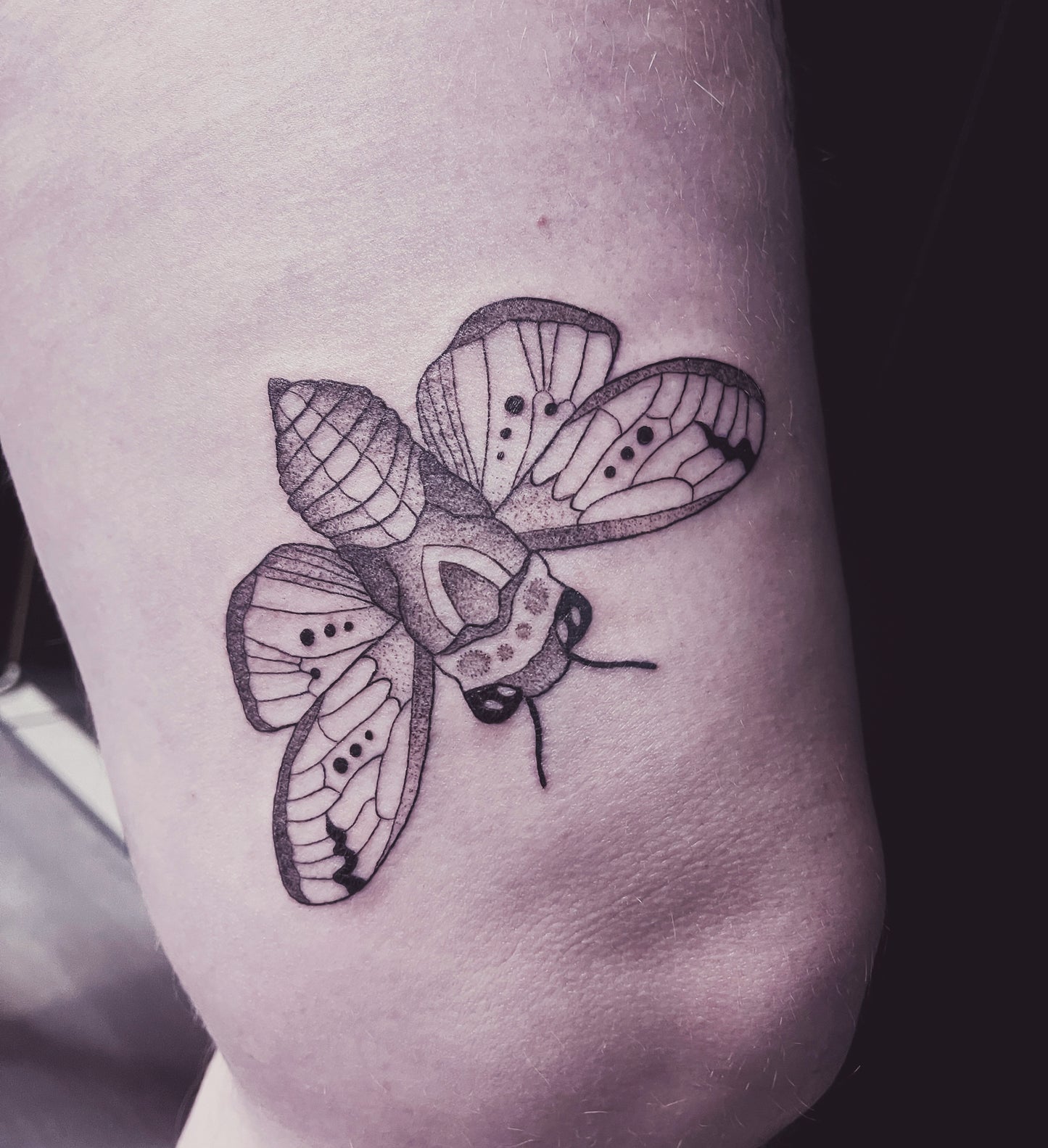 Bug & Beetle Tattoos