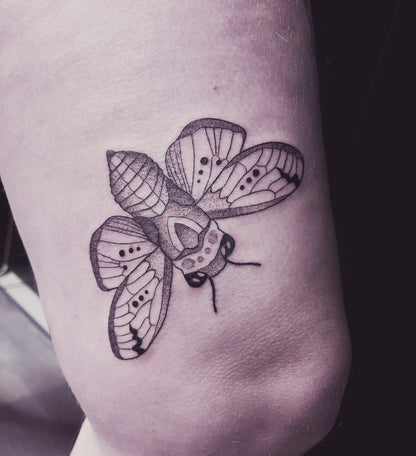 Bug & Beetle Tattoos