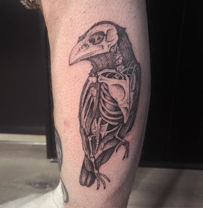 Animal Skull Tattoos