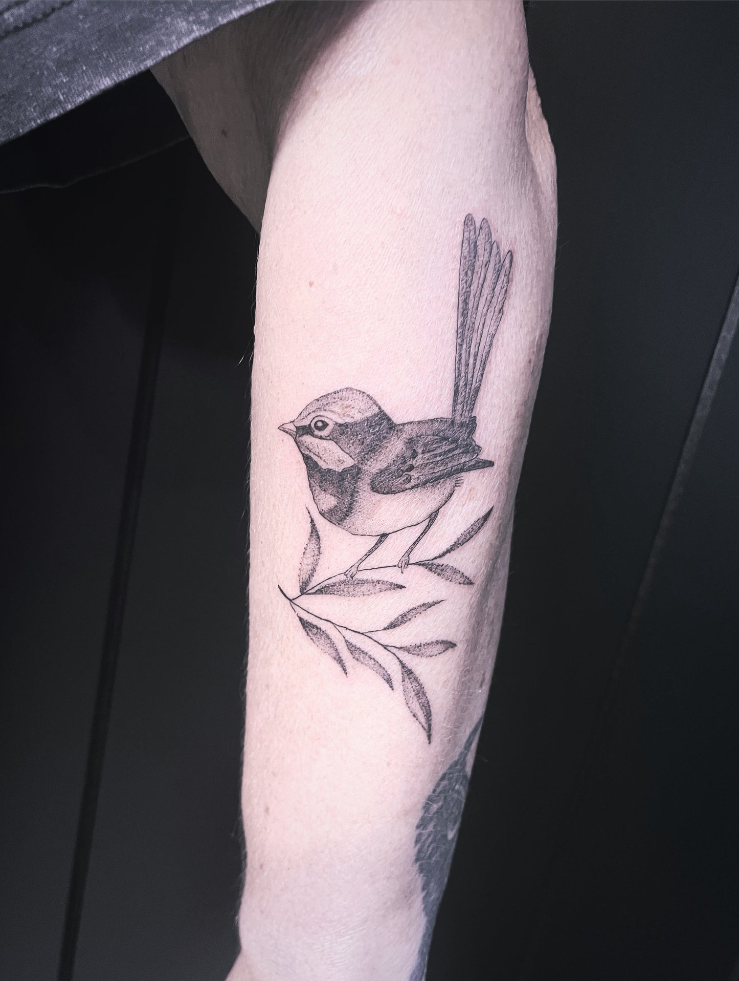 Fineline Bird Tattoos