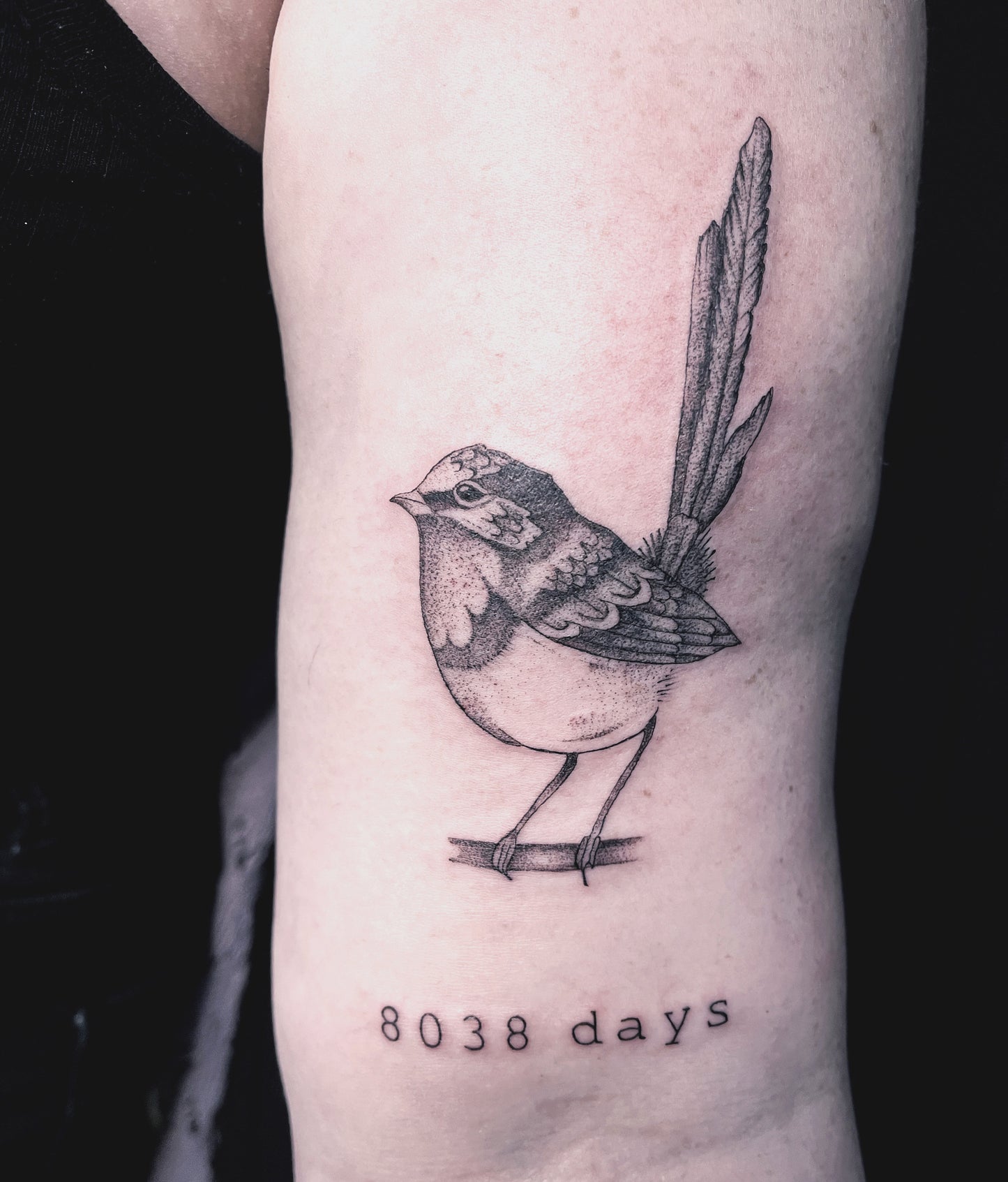 Fineline Bird Tattoos