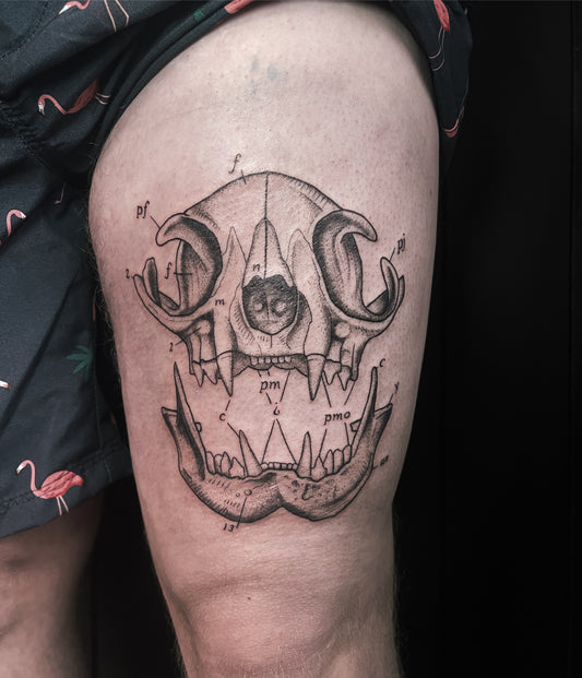 Scientific Journal Tattoos