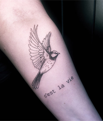 Fineline Bird Tattoos
