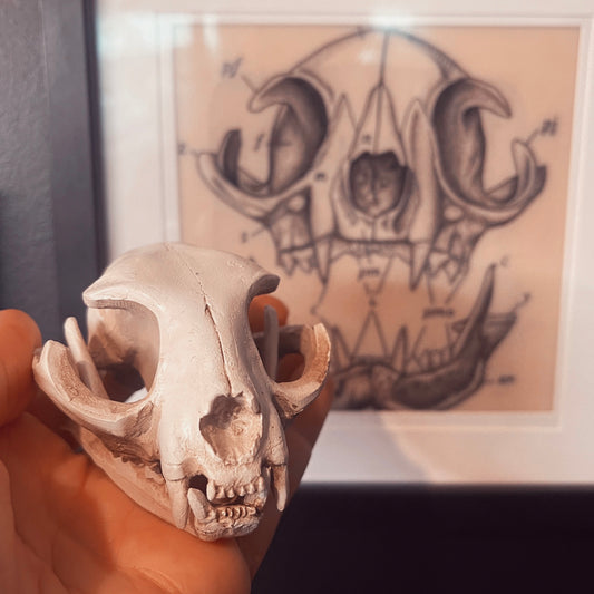 Resin Cat Skull