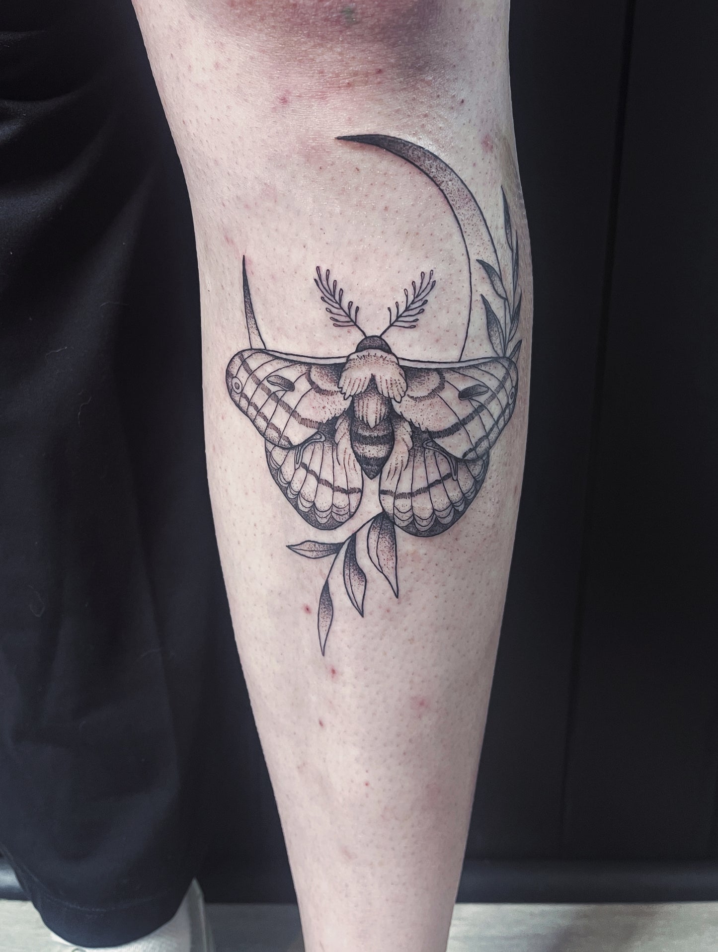 Moth & Butterfly Tattoos